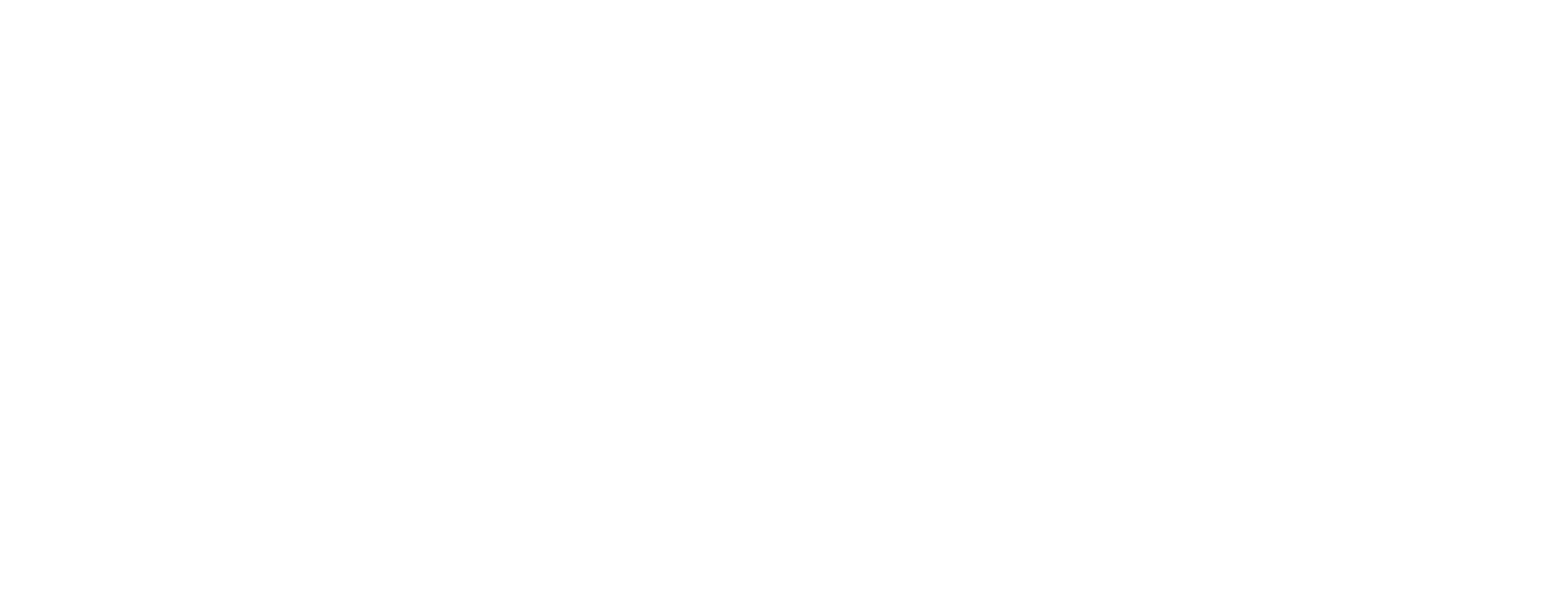 Human + Machine